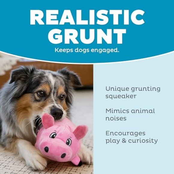 Plush Squeaky Dog Toy Interactive Play Cuddle Buddy Minimal Seams Durable - Picture 5 of 7